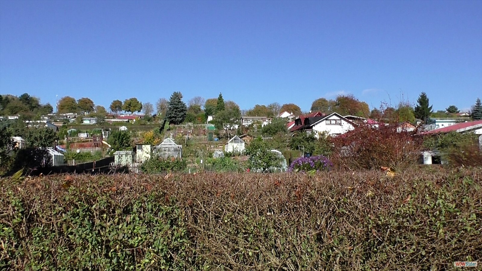 Garten im Herbst 2014(1)